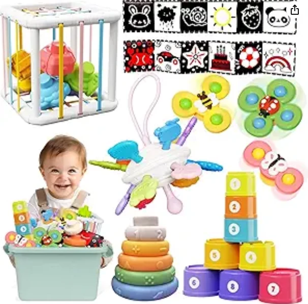 Montessori Toy for Babies 6-12 Months, Baby Toys 6+ 12 Months, Montessori Toy fo